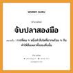 คำพังเพย: จับปลาสองมือ หมายถึงอะไร?, หมายถึง การที่คน ๆ หนึ่งทำสิ่งใดที่ยากพร้อม ๆ กันทำให้ล้มเหลวทั้งสองสิ่งนั้น คำนาม คน สัตว์ ปลา อวัยวะ มือ คำกริยา จับ