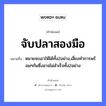 คำพังเพย: จับปลาสองมือ หมายถึงอะไร?, หมายถึง หมายจะเอาให้ได้ทั้ง2อย่าง,เสี่ยงทำการพร้อมๆกันซึ่งอาจไม่สำเร็จทั้ง2อย่าง อวัยวะ มือ คำกริยา จับ สัตว์ ปลา