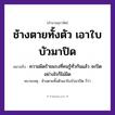 คำพังเพย: ช้างตายทั้งตัว เอาใบบัวมาปิด หมายถึงอะไร?, หมายถึง ความผิดร้ายแรงที่คนรู้ทั่วกันแล้ว จะปิดอย่างไรก็ไม่มิด หมายเหตุ ช้างตายทั้งตัวเอาใบบัวมาปิด ก็ว่า คำนาม คน สัตว์ ช้าง คำกริยา ตาย