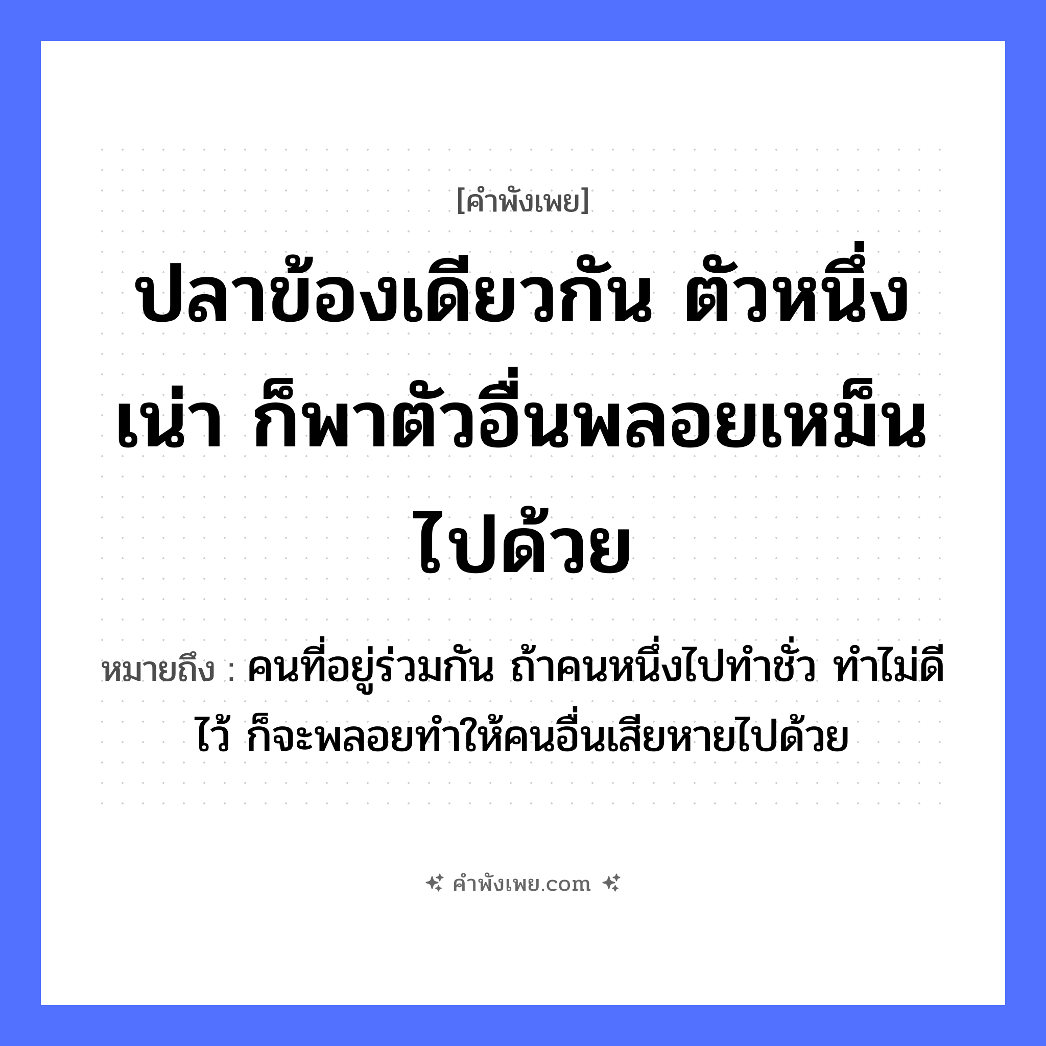 คำพังเพย: ปลาข้องเดียวกัน ตัวหนึ่งเน่า ก็พาตัวอื่นพลอยเหม็นไปด้วย หมายถึงอะไร?, หมายถึง คนที่อยู่ร่วมกัน ถ้าคนหนึ่งไปทำชั่ว ทำไม่ดีไว้ ก็จะพลอยทำให้คนอื่นเสียหายไปด้วย สัตว์ ปลา คำกริยา เน่า, เหม็น สิ่งของ ข้อง หมวด คำพังเพย