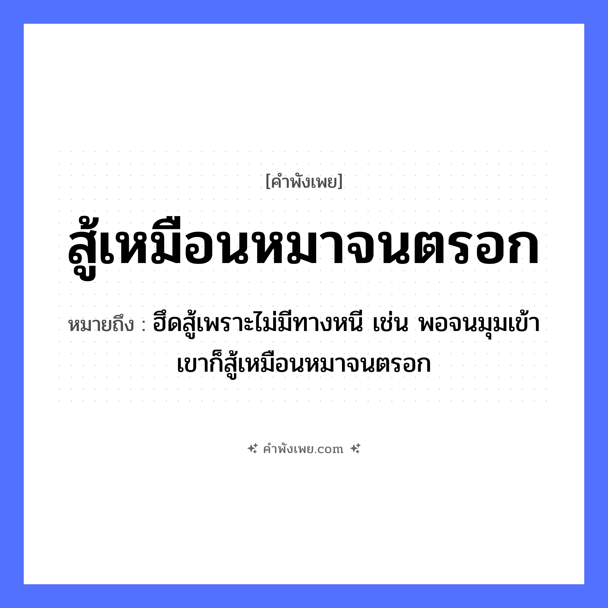 คำพังเพย: สู้เหมือนหมาจนตรอก หมายถึงอะไร?, หมายถึง ฮึดสู้เพราะไม่มีทางหนี เช่น พอจนมุมเข้า เขาก็สู้เหมือนหมาจนตรอก สัตว์ หมา คำกริยา สู้, จน ธรรมชาติ ตรอก หมวด คำพังเพย