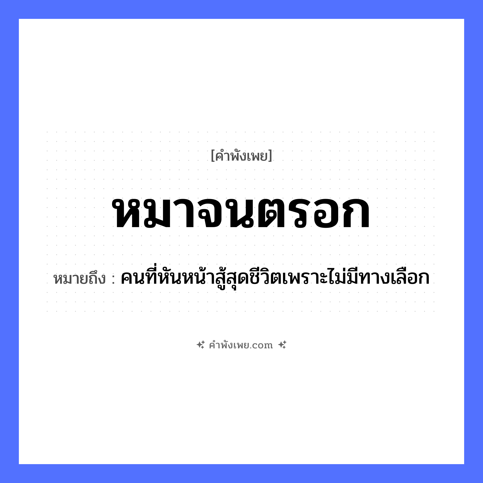 คำพังเพย: หมาจนตรอก หมายถึงอะไร?, หมายถึง คนที่หันหน้าสู้สุดชีวิตเพราะไม่มีทางเลือก สภาวะ จนตรอก, คับขัน สัตว์ หมา สถานที่ ตรอก หมวด คำพังเพย