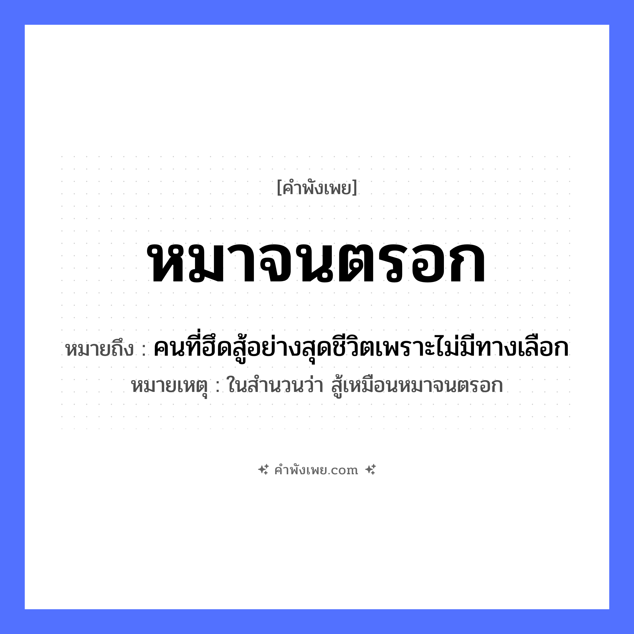 คำพังเพย: หมาจนตรอก หมายถึงอะไร?, หมายถึง คนที่ฮึดสู้อย่างสุดชีวิตเพราะไม่มีทางเลือก หมายเหตุ ในสำนวนว่า สู้เหมือนหมาจนตรอก สัตว์ หมา สถานที่ ตรอก ความรู้สึก จนมุม, สิ้นหวัง หมวด คำพังเพย